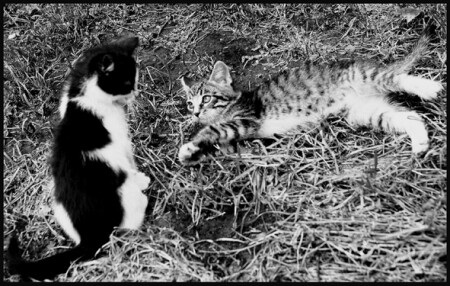 Вполне человеческий взгляд