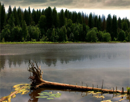 Затишье перед грозой [2]