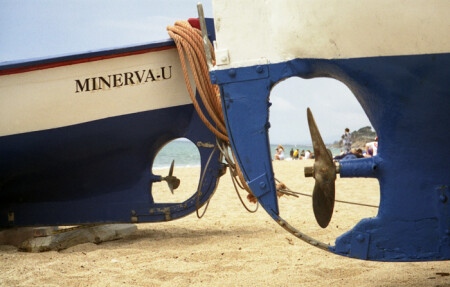 &amp;quot;Корабли в моей гавани. Не взлетим, так поплаваем.&amp;quot;