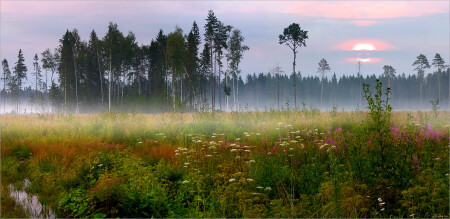 Последние лучики или легкий туманчик