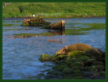 Жизнь после смерти