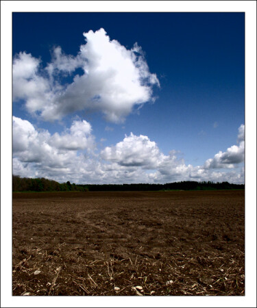 Сельские будни