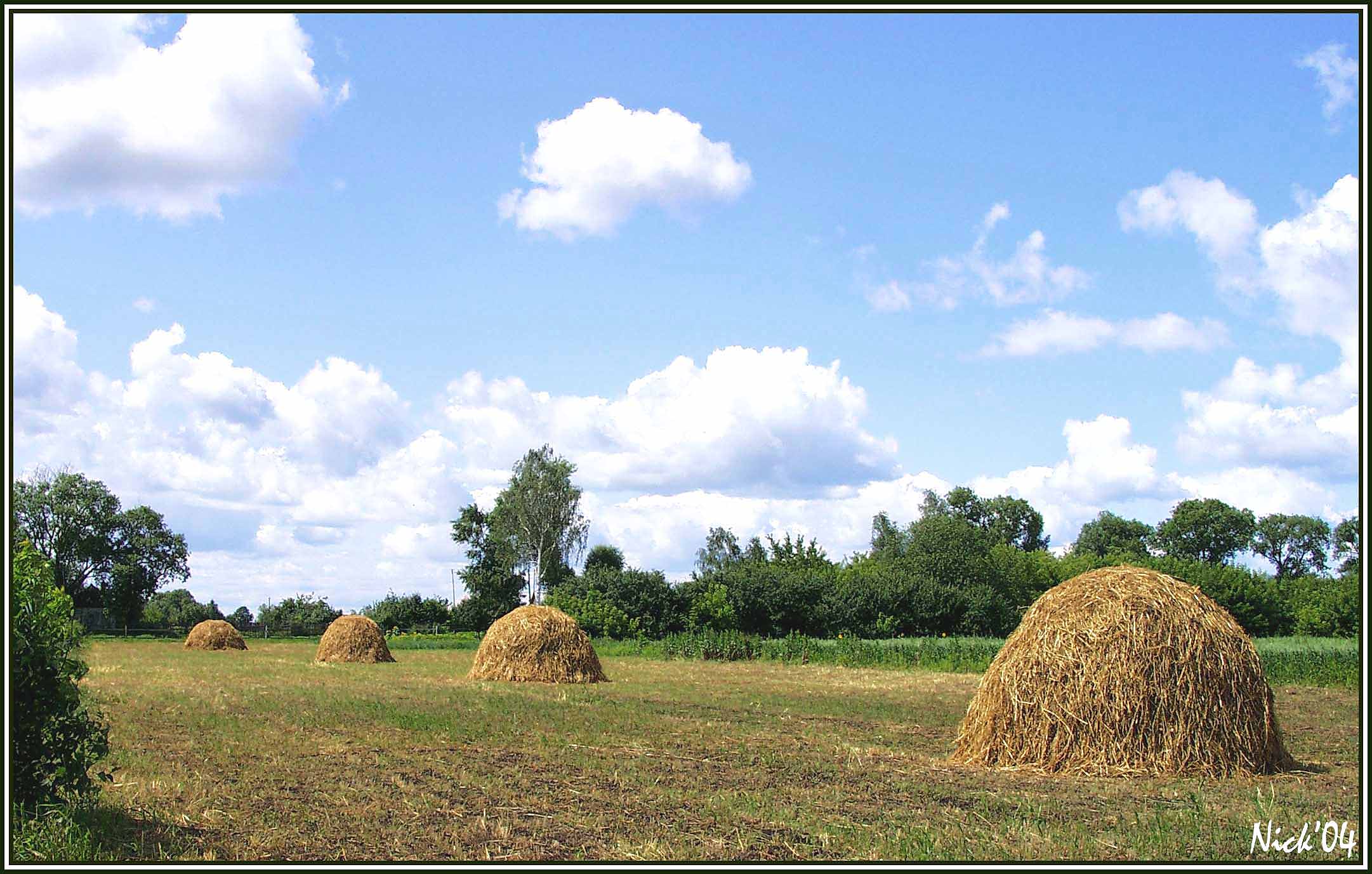 Копенки