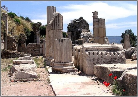 Heropolis town poppys