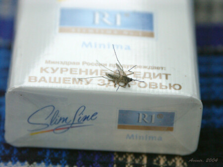 Минздрав предупреждал.