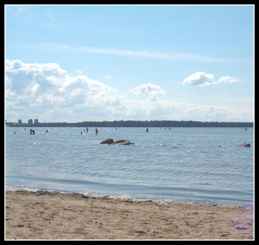 The Sea