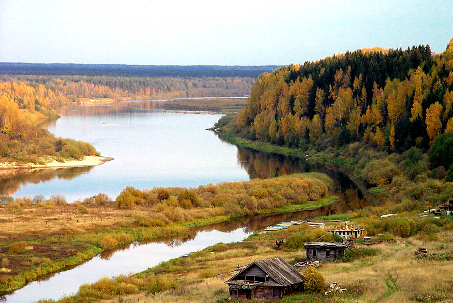 Осень золотая