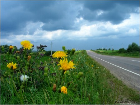 ~*~ Бесконечность ~*~
