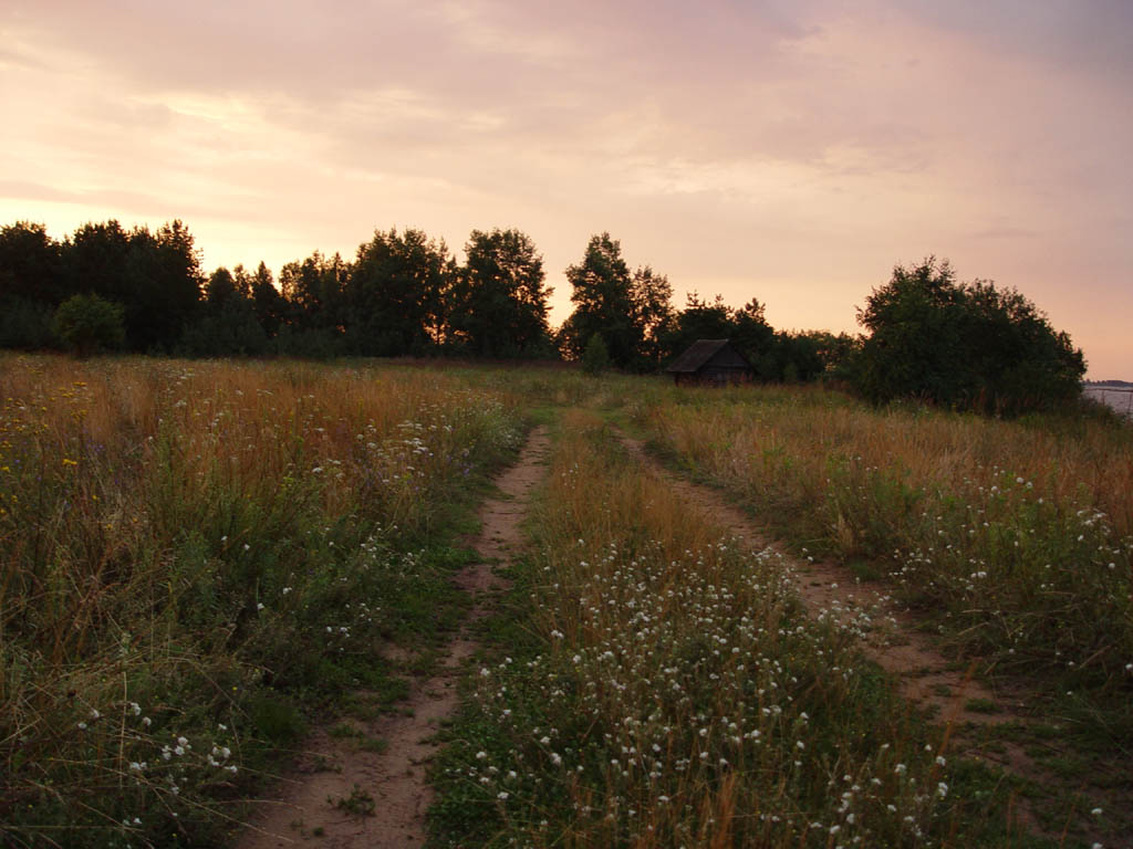 Полевая дорога