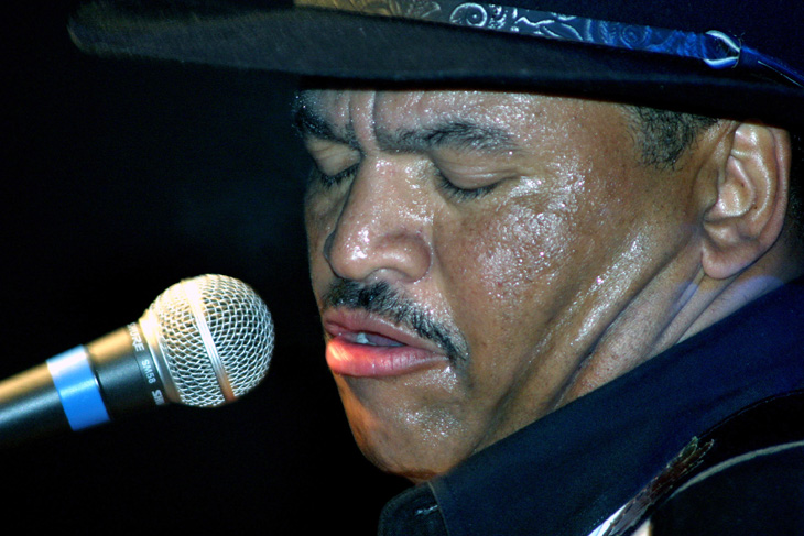 Bluesman Sherman Robertson