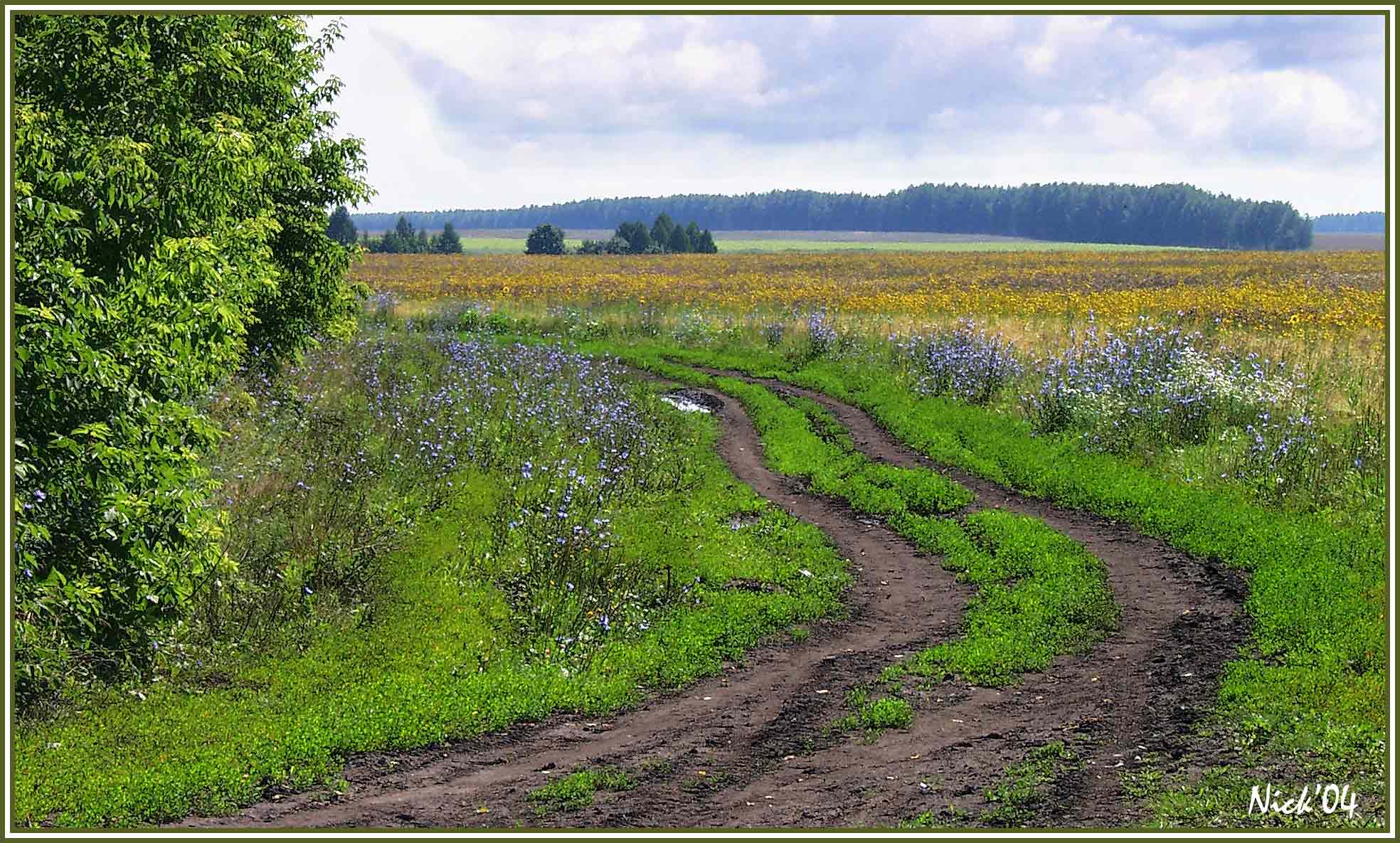 Деревенская дорога