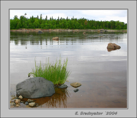 берег Белого моря