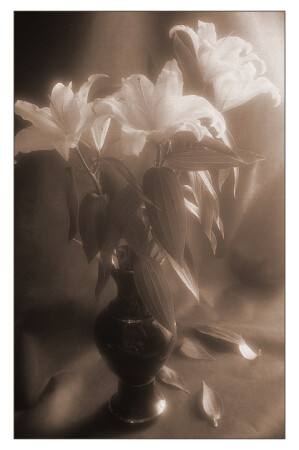 Still Life #01