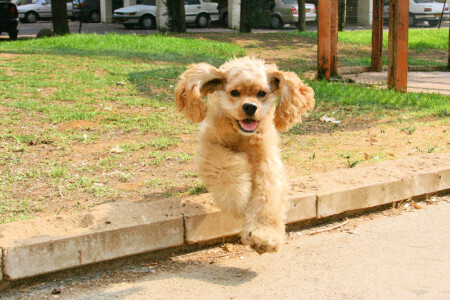 Бонька (I can Fly!: )