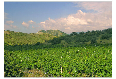 крымские открытки #1 