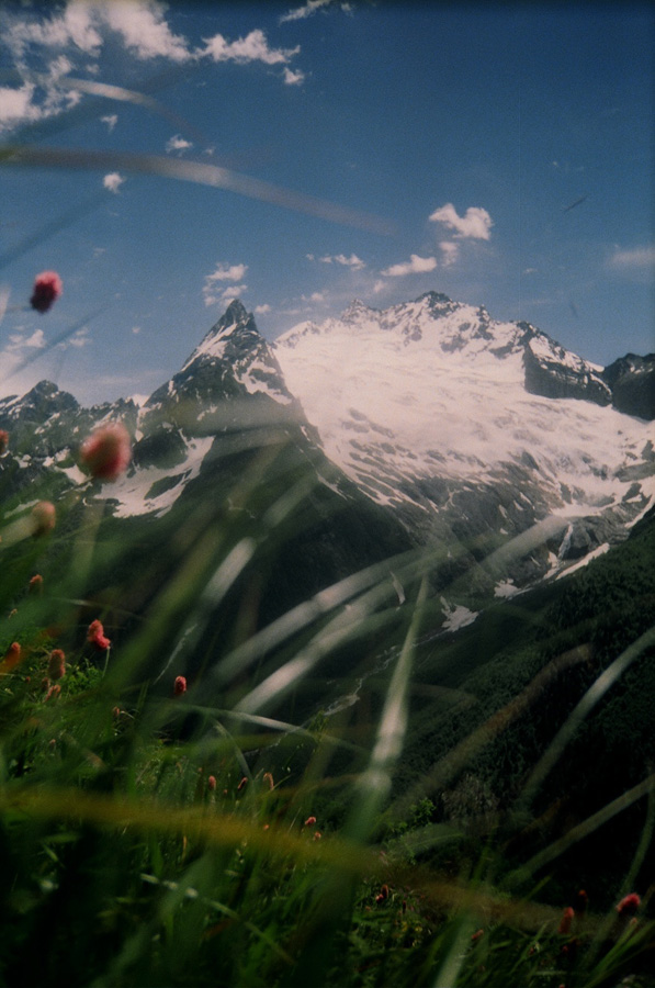 Цветы и Горы (Flowers &amp; Mountains) #2