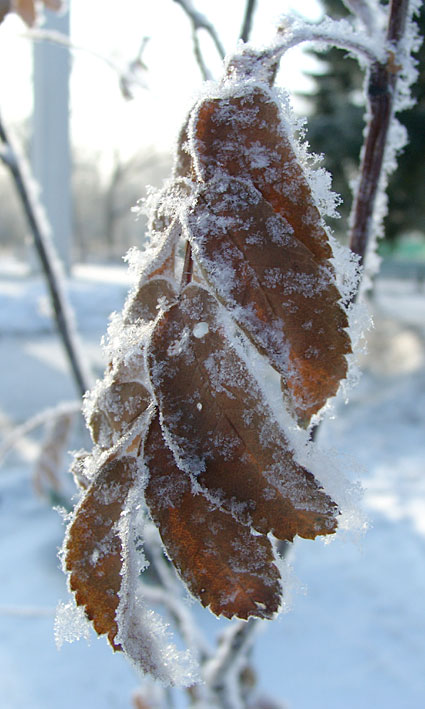 немного прохлады:)