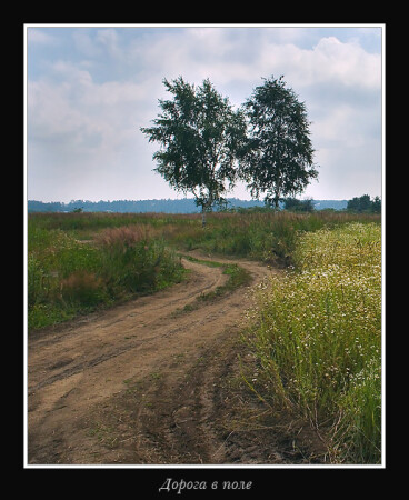 Дорога в поле