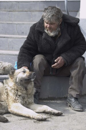 Ты-то хоть меня понимаешь?