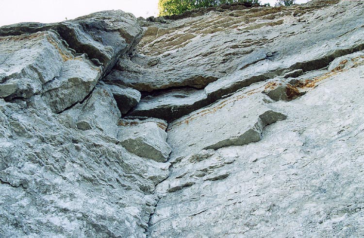камушек