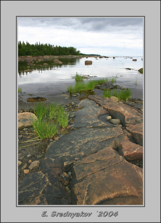 берег Белого моря