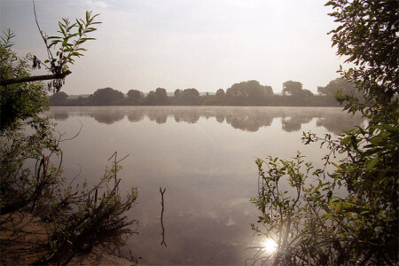 Утро на Оке