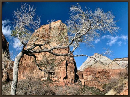 Поздняя осень в парке Zion