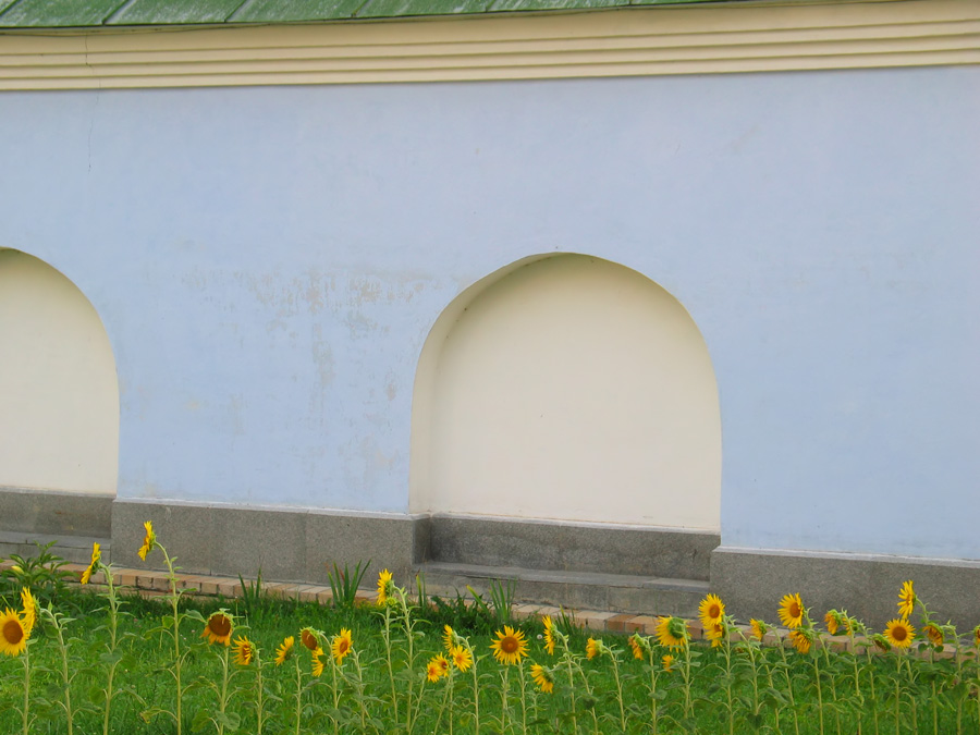Стена с подсолнухами