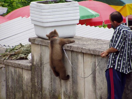 еще, еще чуток, ну же!!!