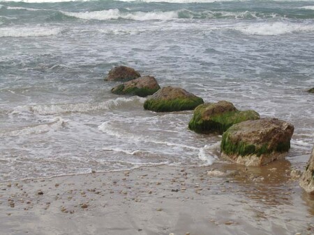 ...заходили в бурлящее море...