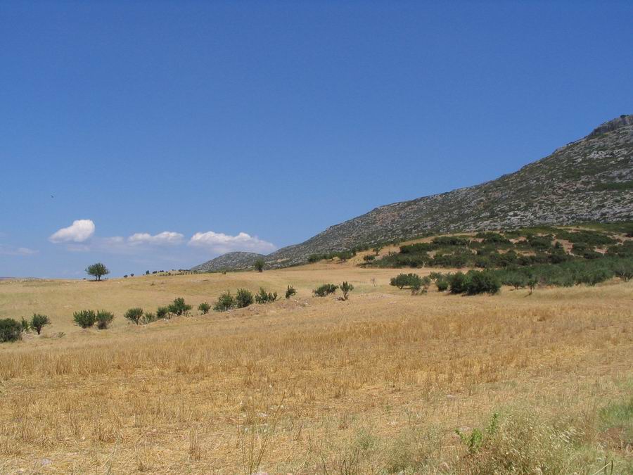 Petralona