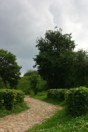 Перед грозой (Дмитров).