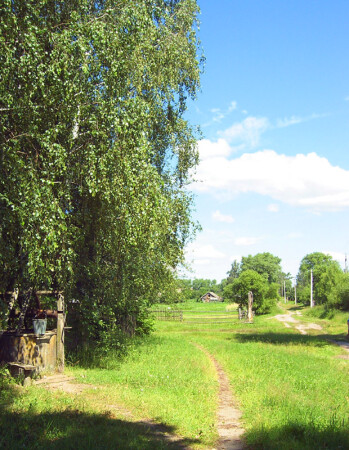 Тропинки моего детства