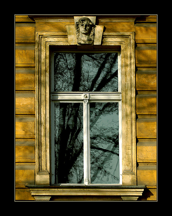 SIMPLY WINDOW