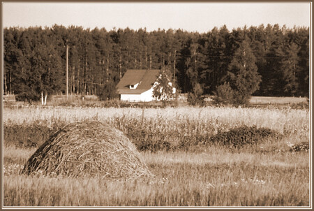 Деревенский пейзаж