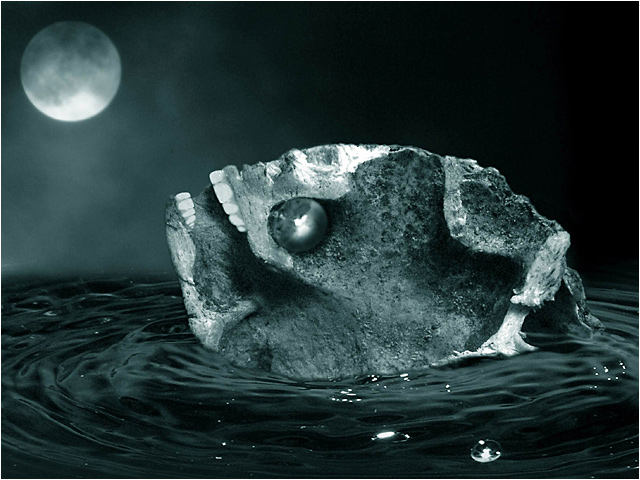 MoonFish
