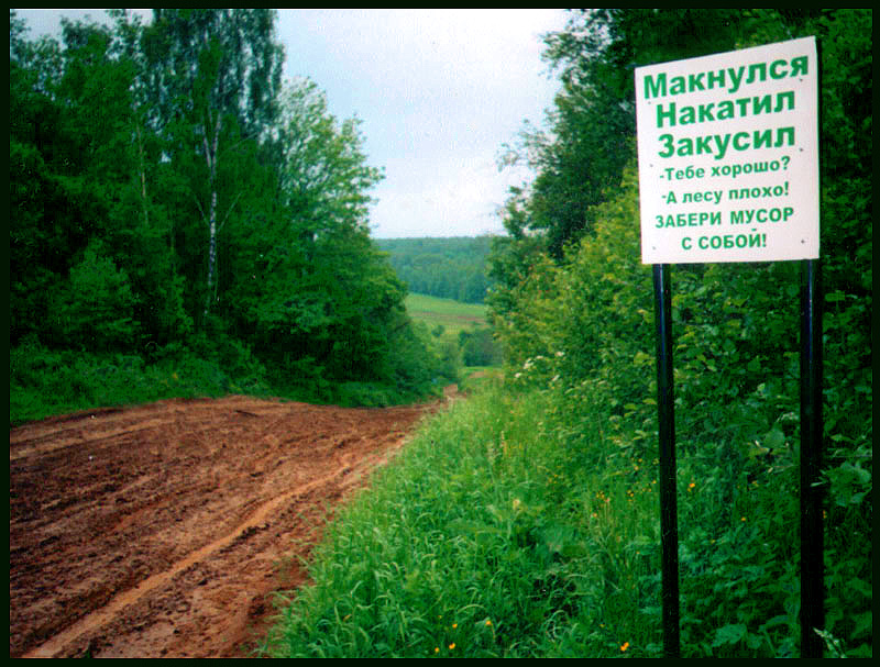 Пикник на обочине