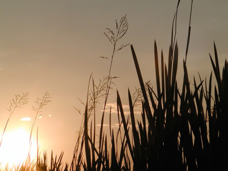 Какая рыбалка?