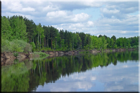 Река Ветлуга