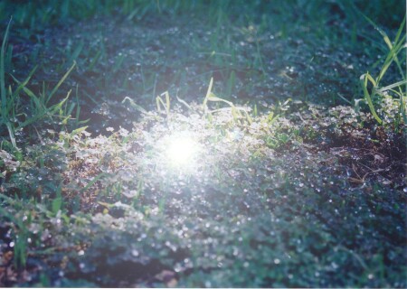 Солнечный луч