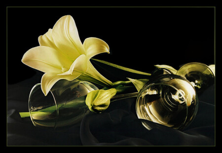 Этюд с лилией