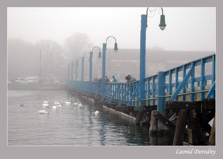 Fog