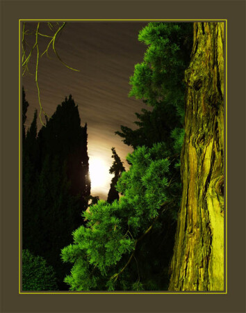 Там чудеса...