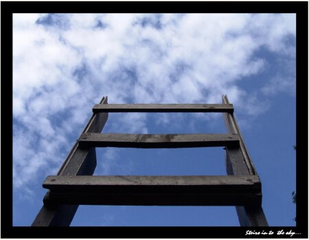 Steirs in to the sky...