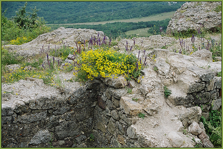 Аскетический букет