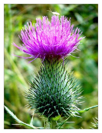 На вершине.