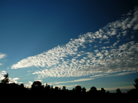 Мне бы в небо...