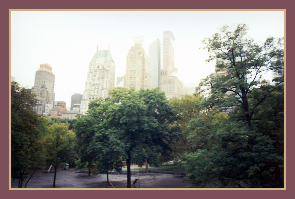 It's raining in Central Park...