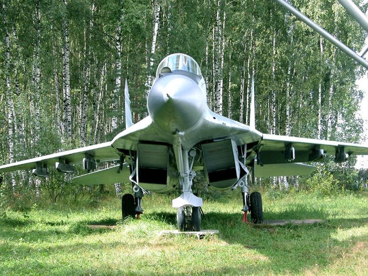 От чего так в России березы шумят...