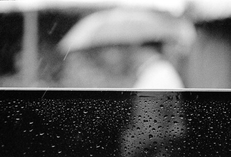 The RAIN [дождь]